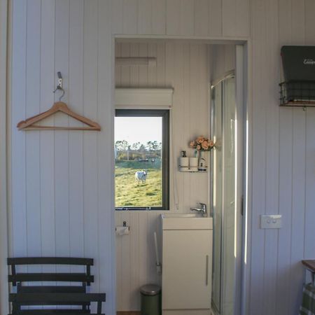 Villa Taranaki Creekside Kea By Tiny Away Stratford Exterior foto